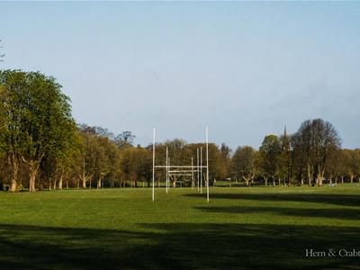 Picture 23
